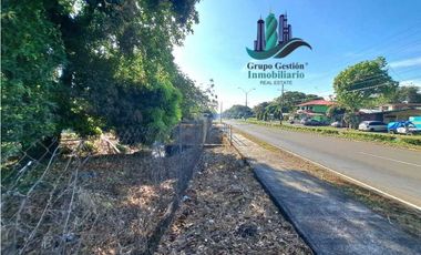 VENDO LOTE DE 160000M2 DOLEGA VIA PRINCIPAL