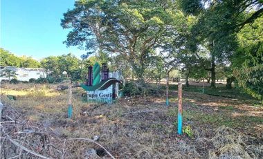 VENDO LOTE DE 160000M2 DOLEGA VIA PRINCIPAL