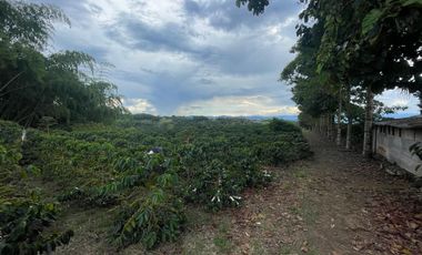 finca en venta en vereda la india. Cod V408455