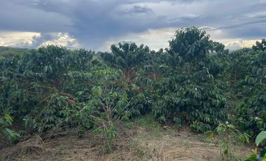 finca en venta en vereda la india. Cod V408455