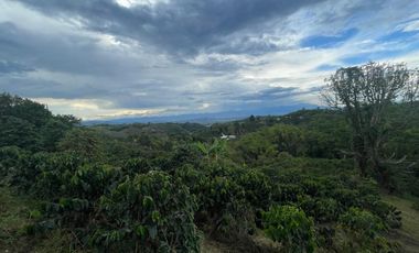 finca en venta en vereda la india. Cod V408455