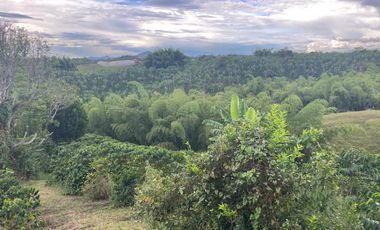finca en venta en vereda la india. Cod V408455