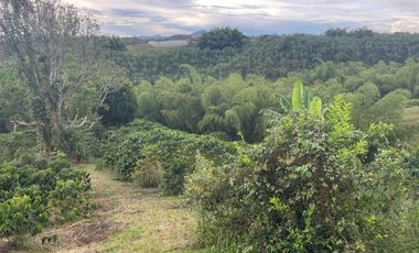 finca en venta en vereda la india. Cod V408455