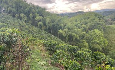 finca en venta en vereda la india. Cod V408455