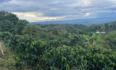finca en venta en vereda la india. Cod V408455