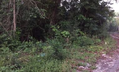 4,732sqm Lot for Sale in Tanday, Baclayon | BOHOLANA REALTY