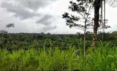 DIJUAL TANAH SENGKADUAN BR. TEBUANA TEGALLALANG GIANYAR, BALI