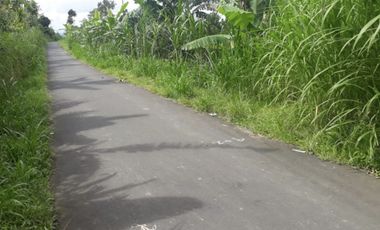 DIJUAL TANAH SENGKADUAN BR. TEBUANA TEGALLALANG GIANYAR, BALI