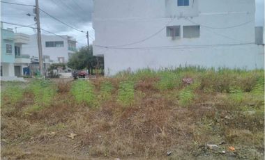 Lote en venta en Campo Alegre, Montería