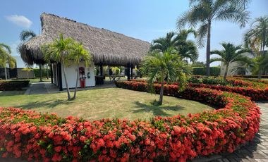 casa en venta en isla del sol. Cod V9155438