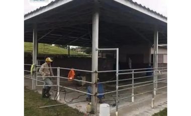 SE VENDE FINCA LECHERA VOLCAN - CHIRIQUI