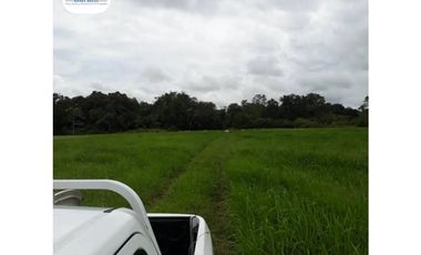 SE VENDE FINCA LECHERA VOLCAN - CHIRIQUI