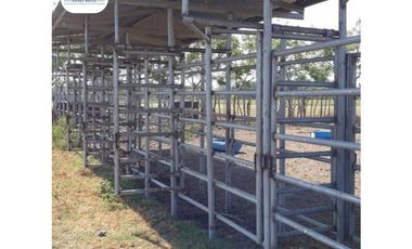 SE VENDE FINCA LECHERA VOLCAN - CHIRIQUI