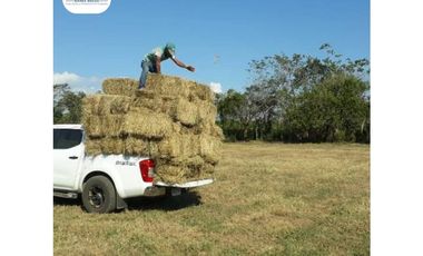 SE VENDE FINCA LECHERA VOLCAN - CHIRIQUI