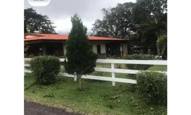 SE VENDE FINCA LECHERA VOLCAN - CHIRIQUI