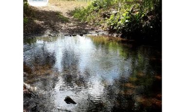 SE VENDE FINCA LECHERA VOLCAN - CHIRIQUI