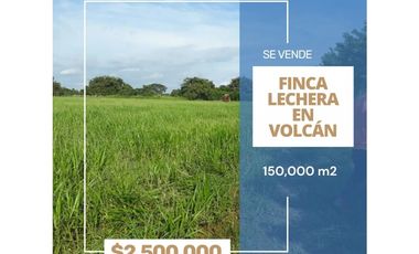 SE VENDE FINCA LECHERA VOLCAN - CHIRIQUI