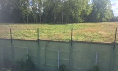 Sitio en venta en Freire