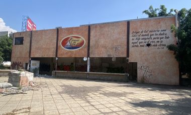 Av. Vicente Guerrero  esquina  comercial
