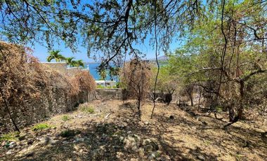 Terreno en Tequesquitengo con Vista al Lago