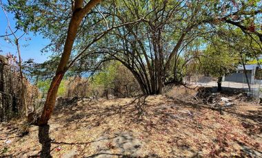 Terreno en Tequesquitengo con Vista al Lago