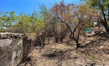 Terreno en Tequesquitengo con Vista al Lago