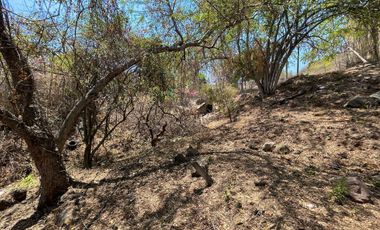 Terreno en Tequesquitengo con Vista al Lago