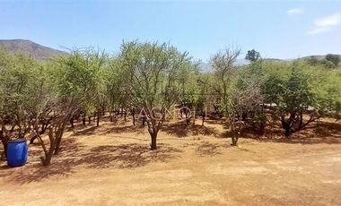 Casa en venta de 6 dorm. en Curacaví
