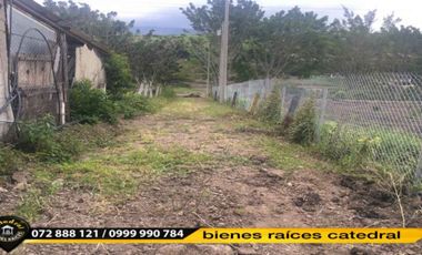 Terreno de venta en Yunguilla Cataviña – código:10780