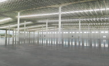 Bodega en Parque Industrial en Apaseo El Grande, Queretaro
