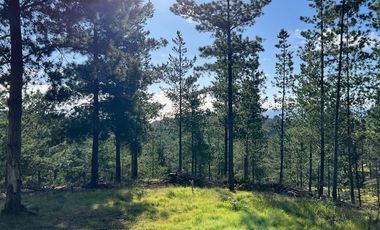 Sitio en venta en Loteo Fundo Boyeruca