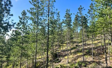 Sitio en venta en Loteo Fundo Boyeruca