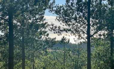 Sitio en venta en Loteo Fundo Boyeruca