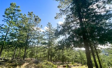 Sitio en venta en Loteo Fundo Boyeruca
