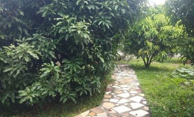 HOUSE WITH POOL FOR SALE IN VALENCIA ID 14692