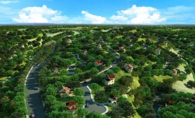 594 LOT @ AYALA WESTGROVE HEIGHTS FOR SALE