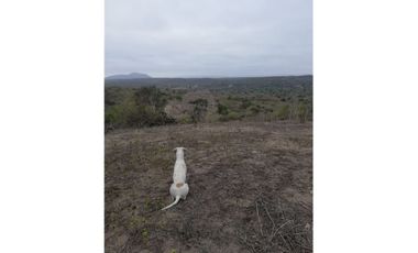 Terreno en venta sector Los Bajos