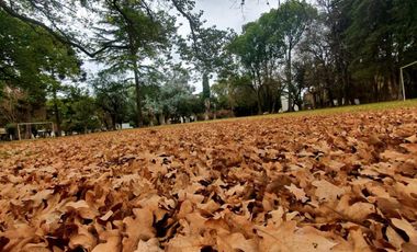 QUINTA A LA VENTA EN FRANCISCO ALVAREZ