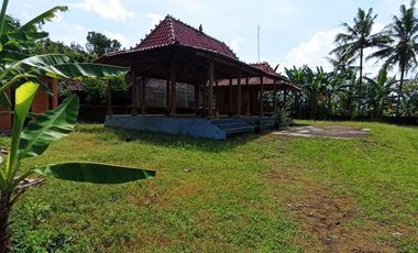 Tanah Luas di Kulon Progo dekat Kali Progo