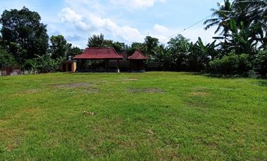 Tanah Luas di Kulon Progo dekat Kali Progo