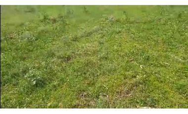 VENTA DE 2 HECTAREAS 4000 METROS EN LA COROZA ARGENTINA