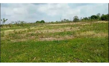 VENTA DE 2 HECTAREAS 4000 METROS EN LA COROZA ARGENTINA