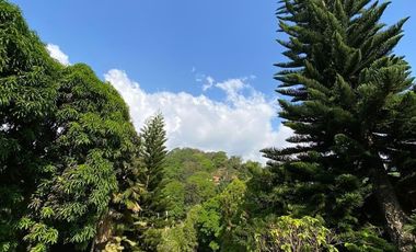 finca en arriendo/venta en menzuli. Cod A109886