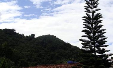 finca en arriendo/venta en menzuli. Cod A109886