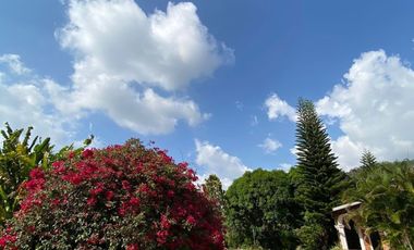 finca en arriendo/venta en menzuli. Cod A109886