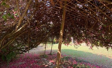 finca en arriendo/venta en menzuli. Cod A109886