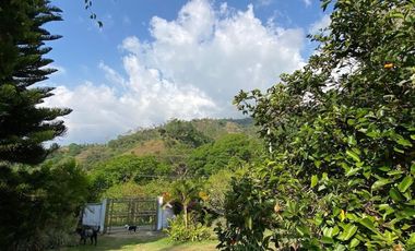 finca en arriendo/venta en menzuli. Cod A109886