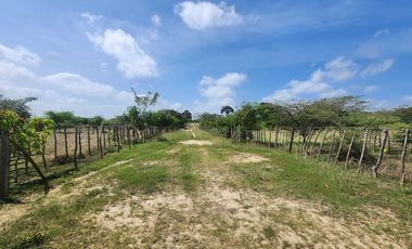 lote en venta en los almendros. Cod V107443