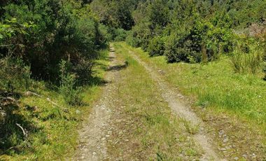 Hermoso Predio 72ha En Corral, Vista Al Mar, Bosque Nativo Y Más
