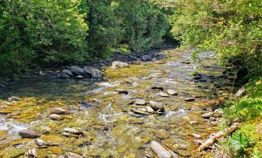Hermoso Predio 72ha En Corral, Vista Al Mar, Bosque Nativo Y Más